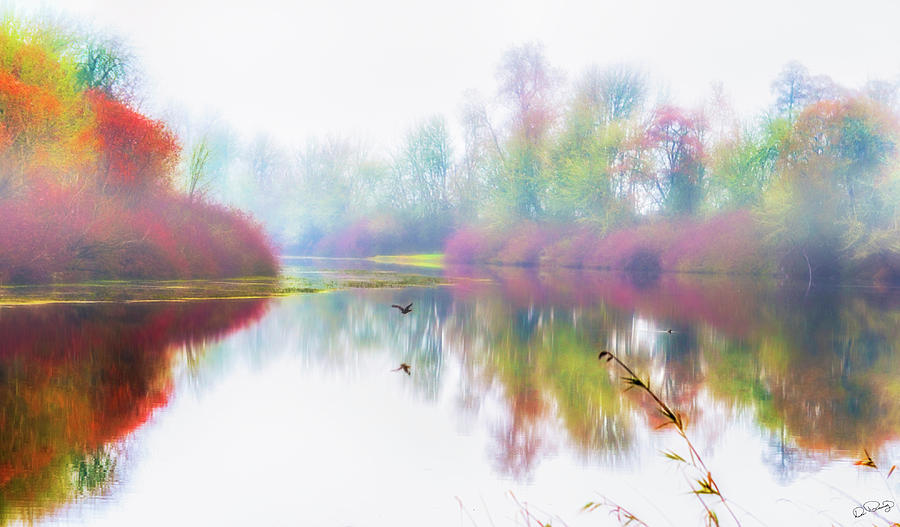 Autumn Morning Dream Photograph by Dee Browning