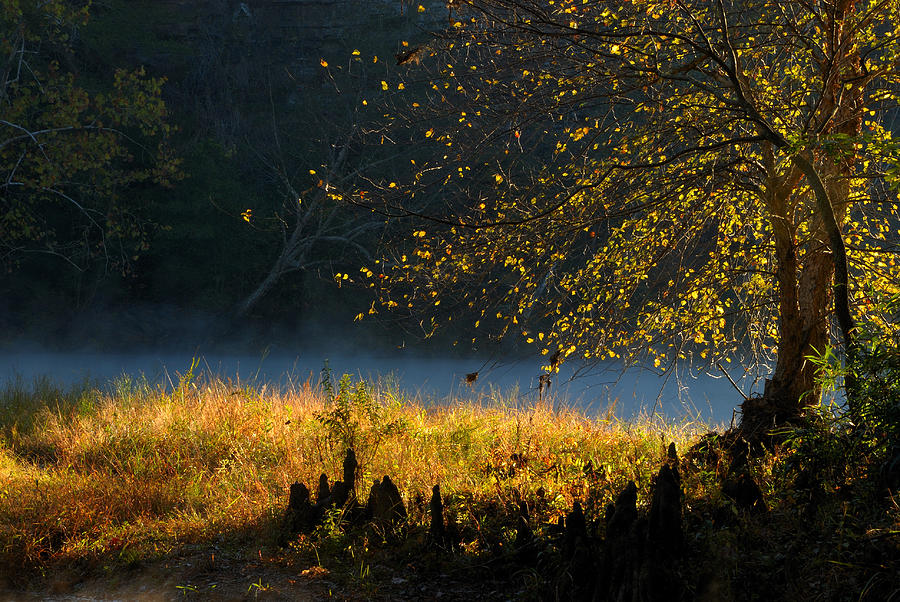 Autumn Morning in October Photograph by Iris Greenwell