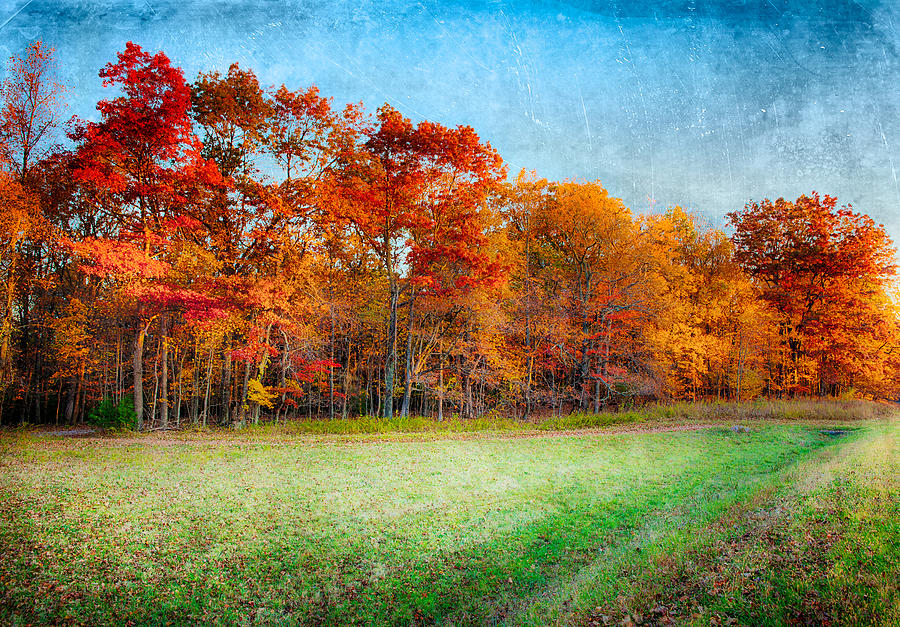 Autumn Morning in the Blue Ridge FX Photograph by Dan Carmichael