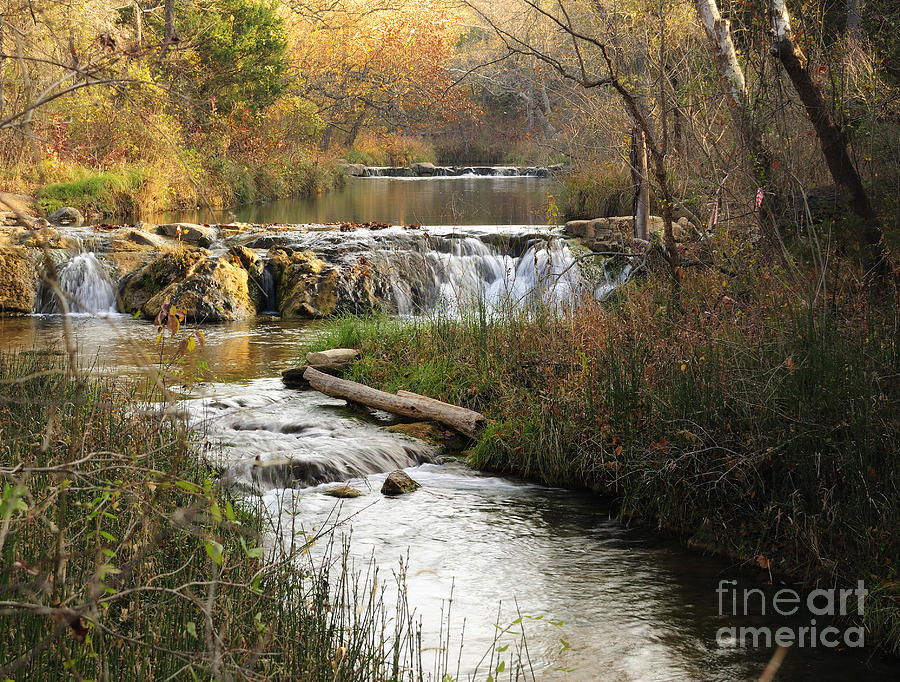 Autumn Morning in the Travertine Creek Photograph by Iris Greenwell