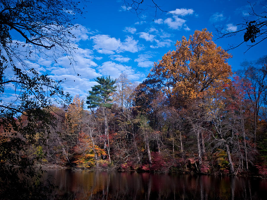 Autumn Morning Photograph by Jim DeLillo