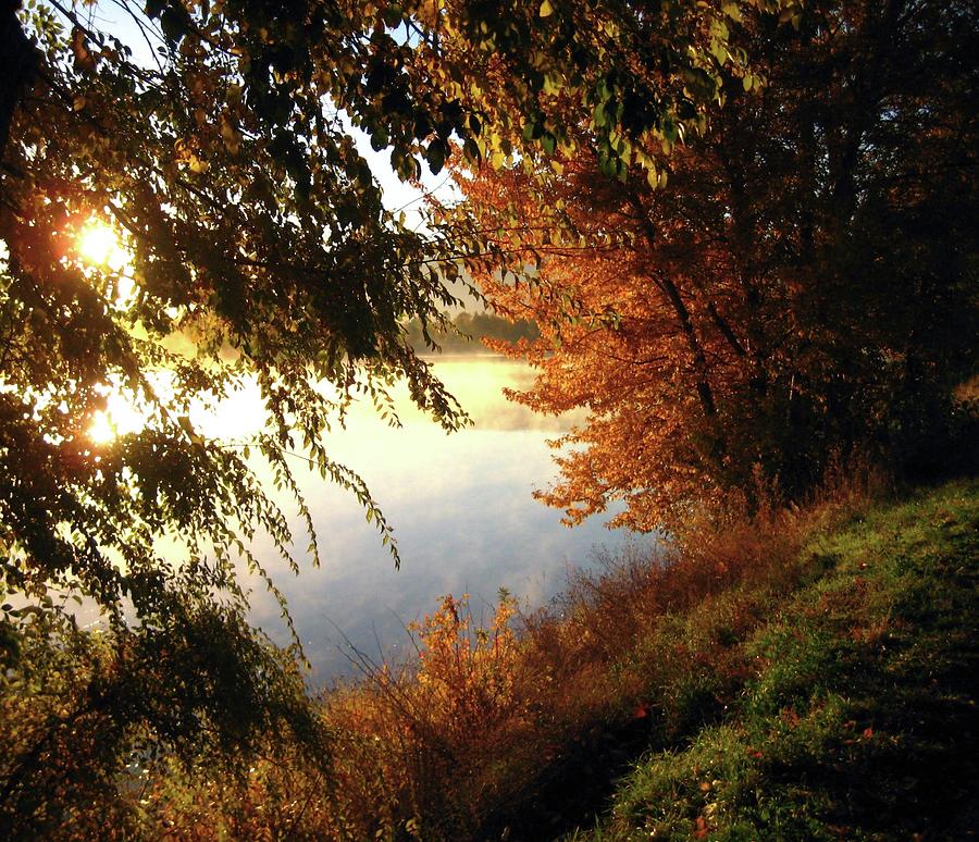 Autumn Morning  Photograph by Kathy Bassett