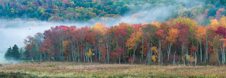 Autumn Morning Mist Photograph by Brian Caldwell
