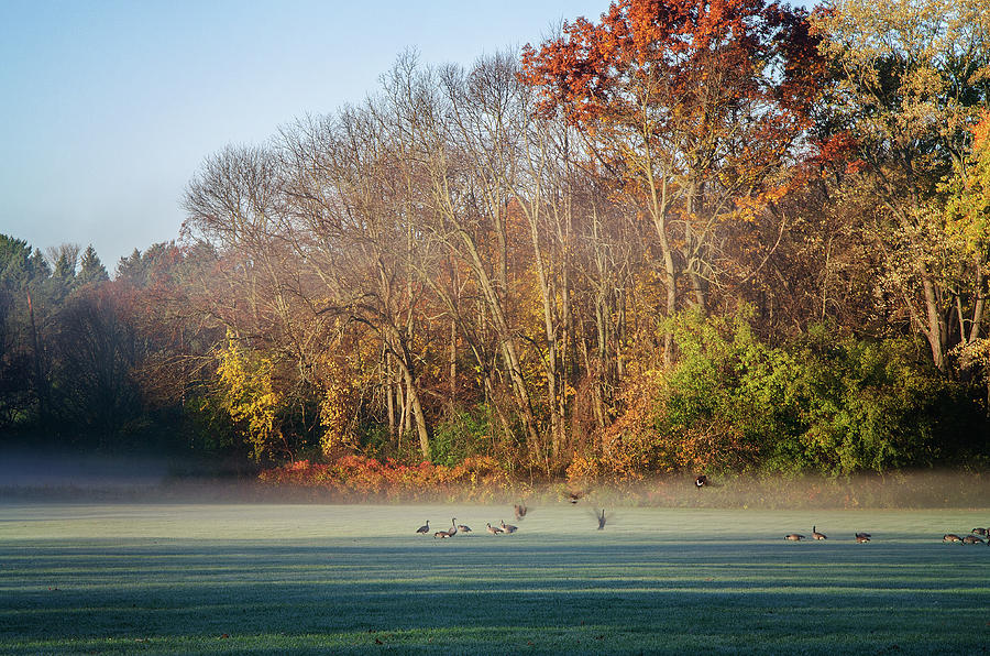 Autumn Morning Photograph by Susan McMenamin