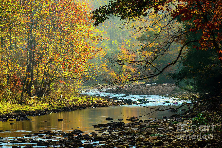 Fall Photograph - Autumn Morning Williams River by Thomas R Fletcher