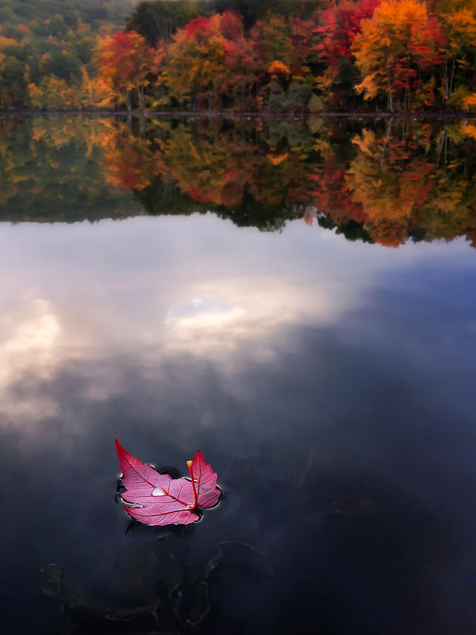 Fall Photograph - Autumn Mornings IV by Craig Szymanski
