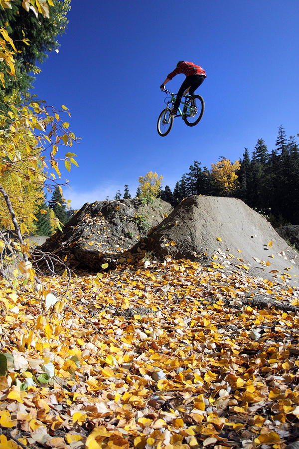Autumn mountain bike in Whistler Photograph by Pierre Leclerc Photography