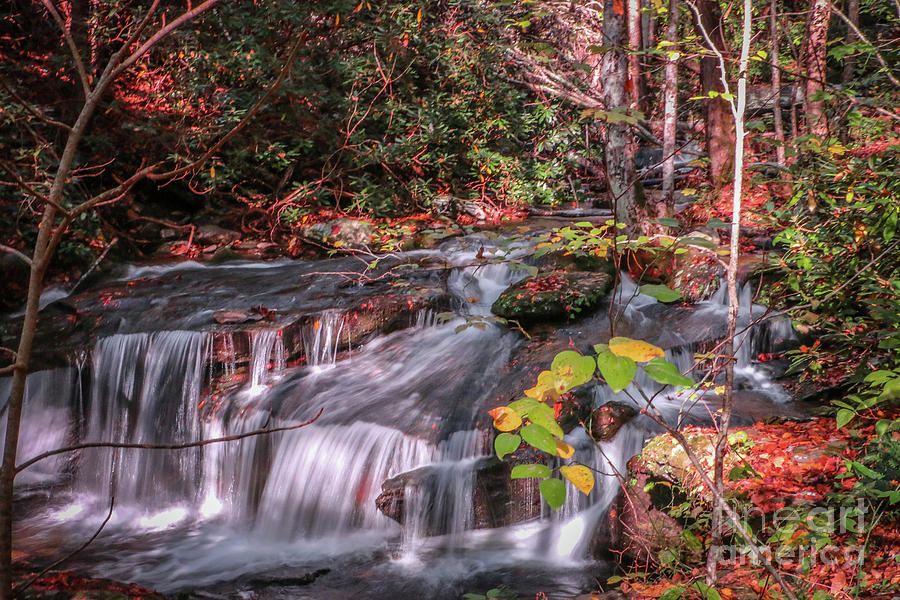 Autumn Mountain Falls Photograph by Tom Claud