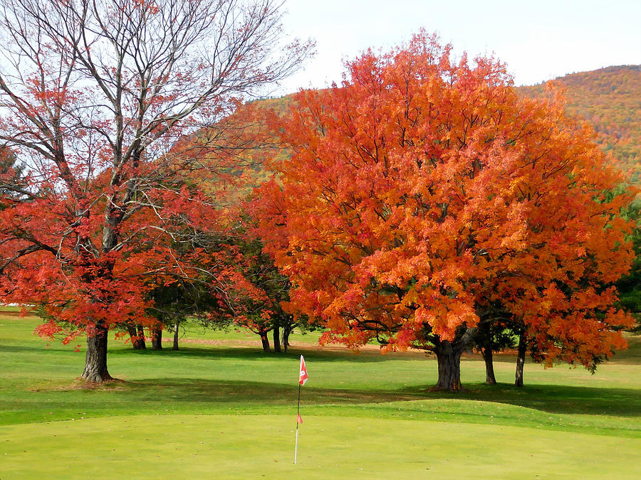 Autumn mountain golf course 10 Digital Art by Jeelan Clark