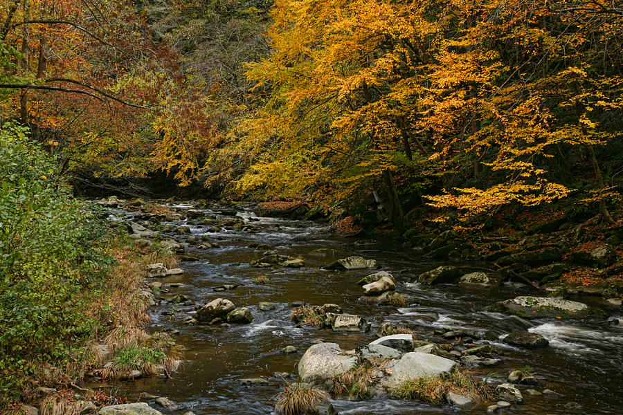 Autumn Mountain Stream Photograph by Shari Jardina