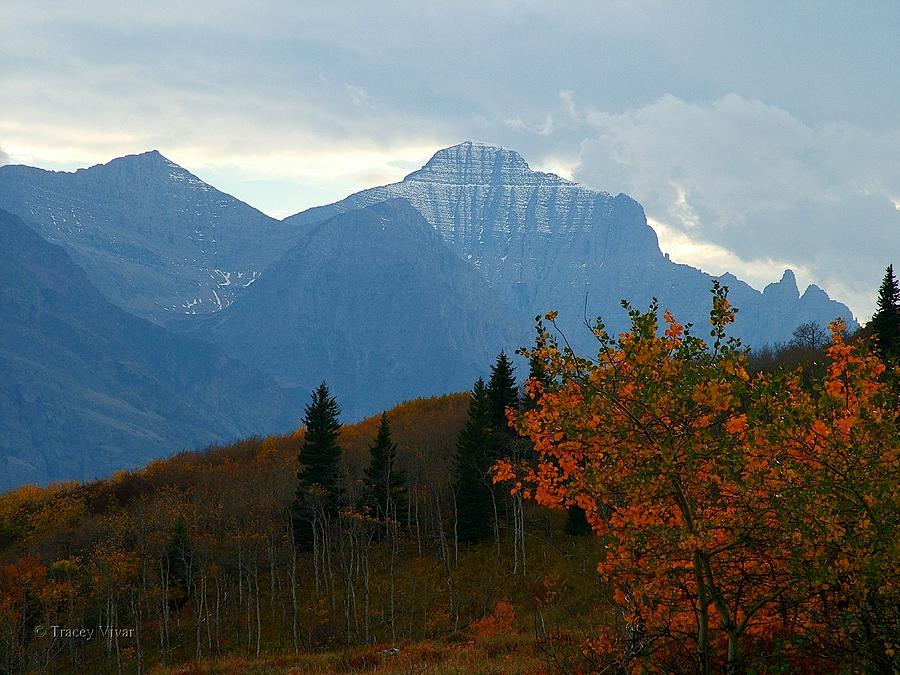 Autumn Mountains in Montana Photograph by Tracey Vivar