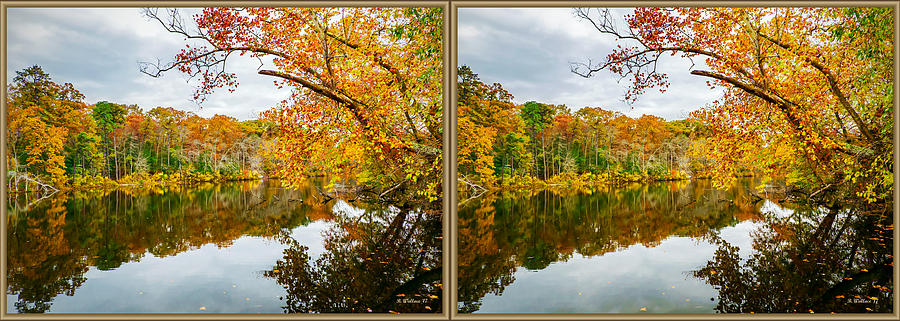 Autumn Nature - 3D Stereo X-View Photograph by Brian Wallace