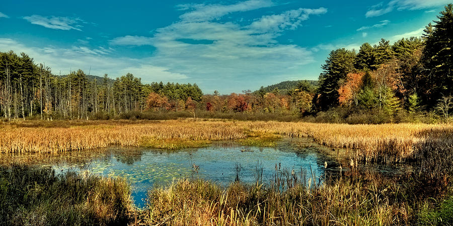 Autumn Near Lake George Photograph by David Patterson