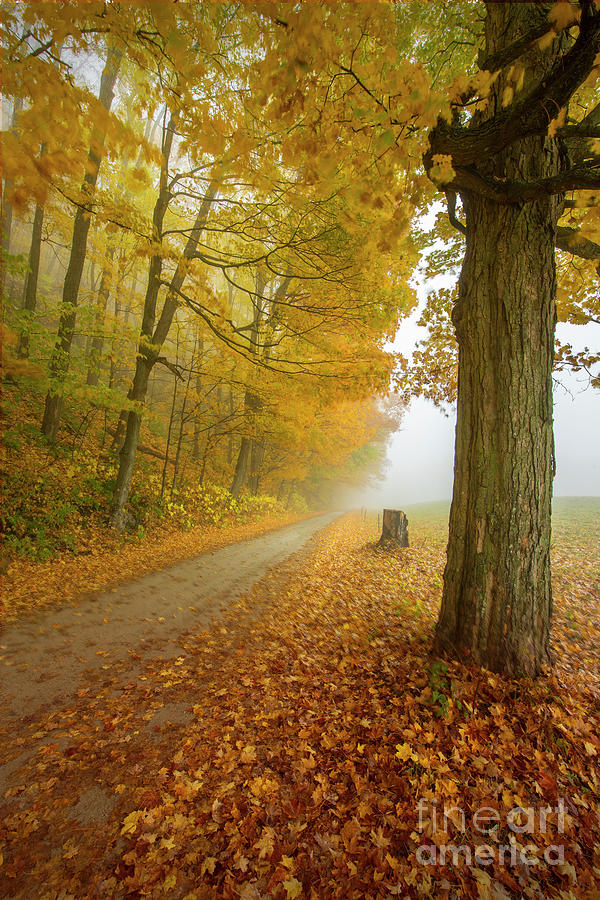 Autumn, New England Photograph