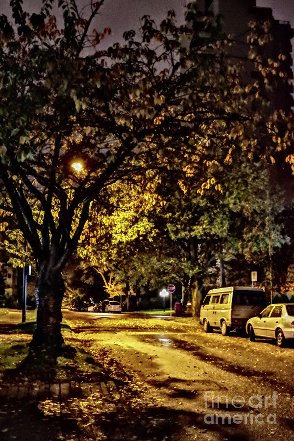 Autumn Night Photograph