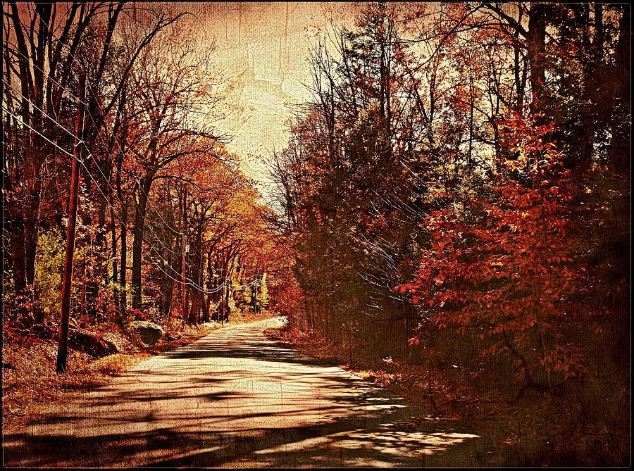 Autumn Norlands Road Photograph by Joy Nichols