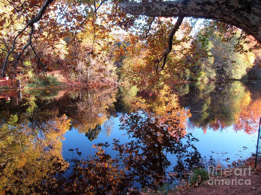Autumn Oak Creek Reflections Photograph by Mars Besso