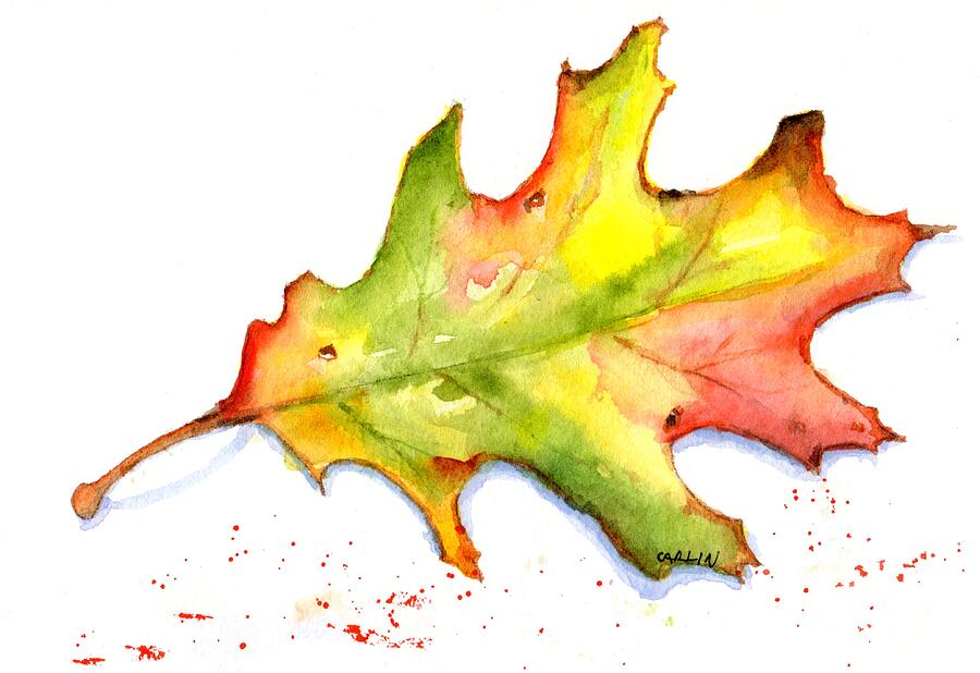Autumn Oak Leaf Watercolor Painting by Carlin Blahnik CarlinArtWatercolor