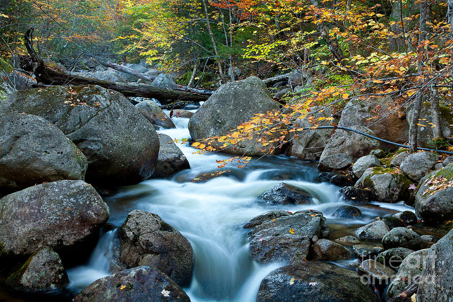 Fall Photograph - Autumn on Abol Stream by Susan Cole Kelly