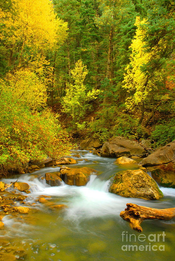 Fall Photograph - Autumn on Big Cottonwood River by Dennis Hammer