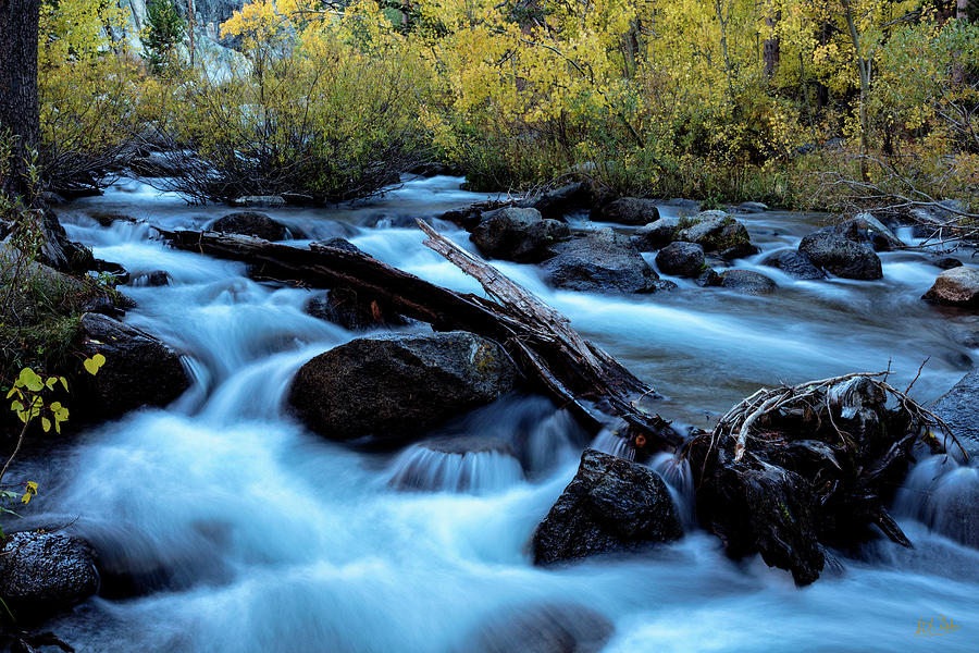 Autumn On Bishop Creek by Stuart Gordon Autumn On Bishop Creek by Stuart Gordon