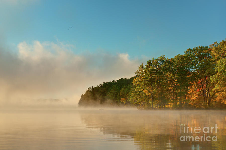 Autumn on Bomoseen - Misty Lake in Vermont Photograph by JG Coleman