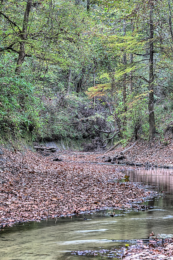 Autumn on Bottle Creek Photograph by JC Findley