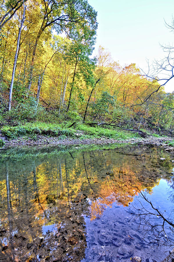 Autumn On Brush Creek 2 Photograph by Bonfire Photography