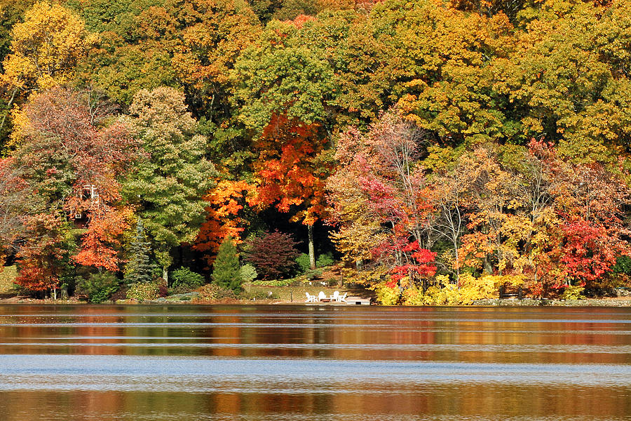 Autumn on Canoe Brook Lake Photograph by William Selander