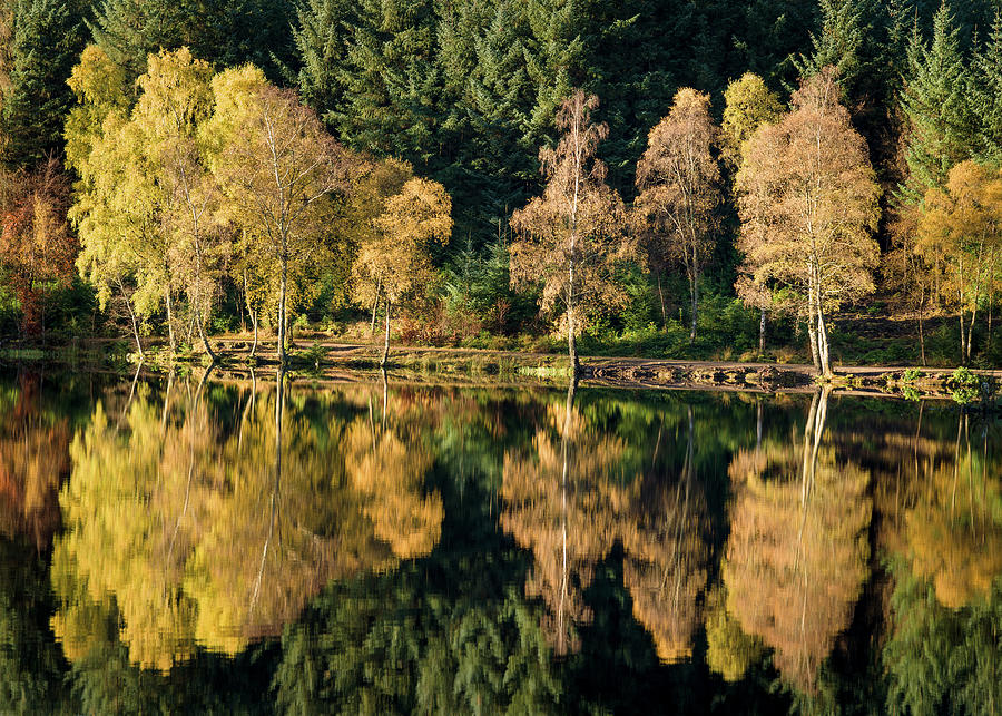 Autumn on Glencoe Lochan by Dave Bowman Autumn on Glencoe Lochan by Dave Bowman