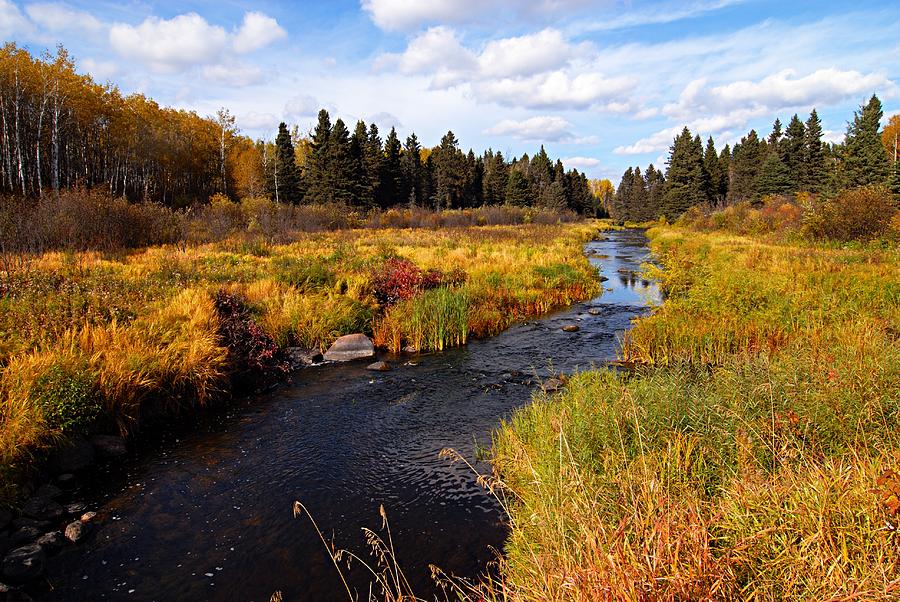 Autumn on Jackfish Creek Photograph by Larry Ricker
