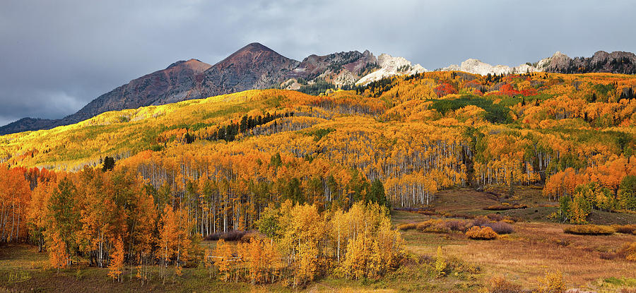 Autumn On Kebler Pass by Stuart Gordon Autumn On Kebler Pass by Stuart Gordon