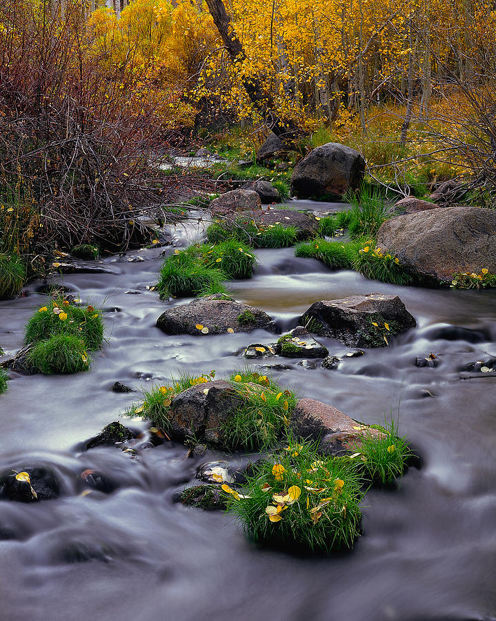 Autumn On Mill Creek Photograph by Paul Breitkreuz