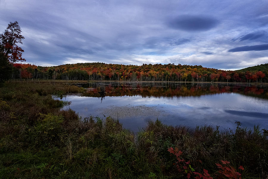 Autumn On North Pond Road Photograph by Tom Singleton
