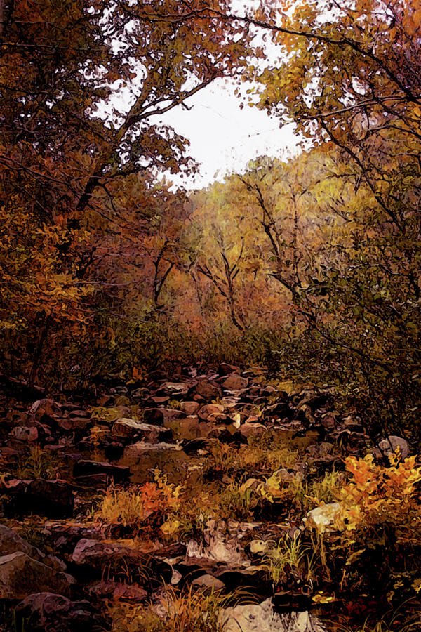 Autumn on Pickle Creek 6310 DP_2 Photograph by Steven Ward