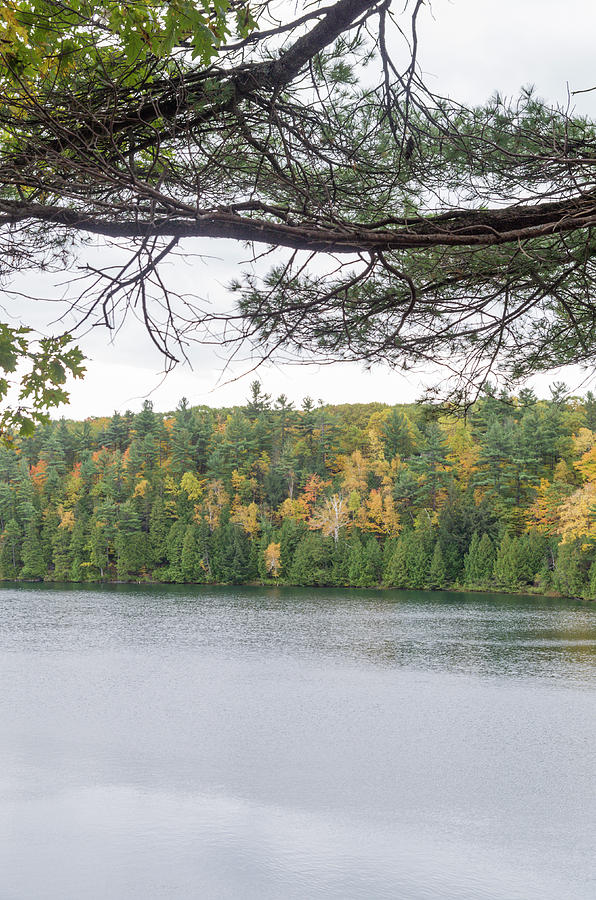 Autumn on Pink Lake 22 Photograph by Bob Corson - Fine Art America