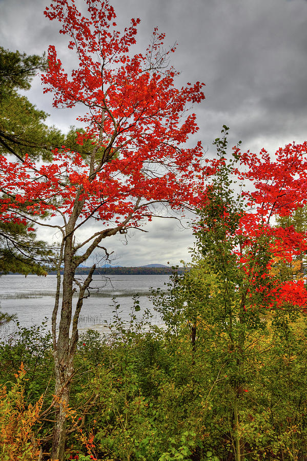 Fall Photograph - Autumn on Raquette Lake by David Patterson