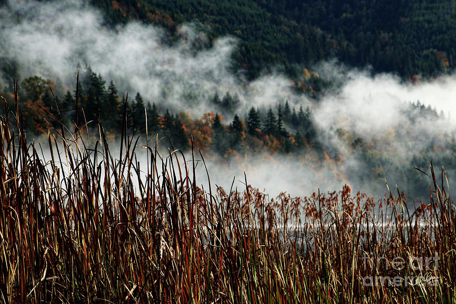 Autumn on Samish Lake Photograph by Cheryl Rose