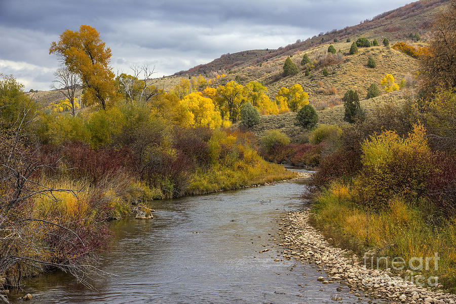 Autumn On South Fork Ogden River Photograph by Spencer Baugh