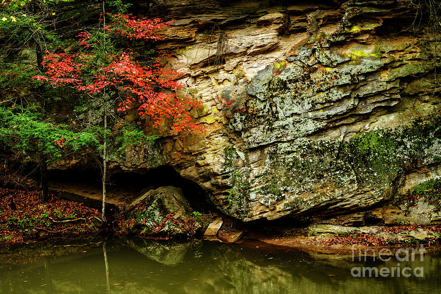 Autumn on Strange Creek Photograph by Thomas R Fletcher