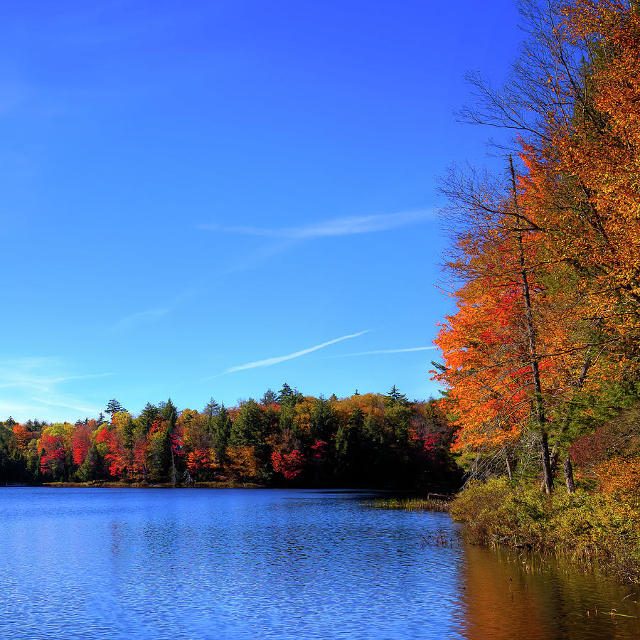 Autumn on the Banks of West Lake Photograph by David Patterson