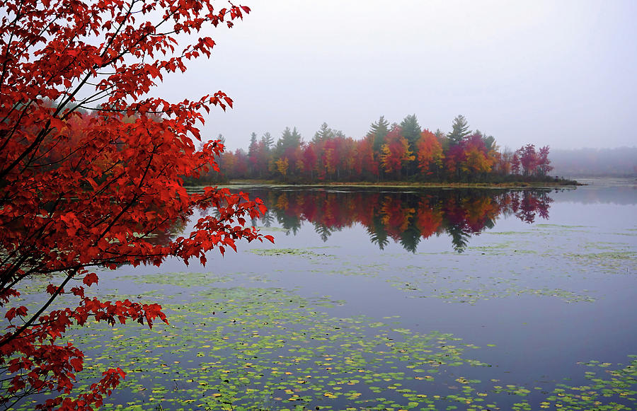 Autumn on the Bellamy by Wayne Marshall Chase Autumn on the Bellamy by Wayne Marshall Chase