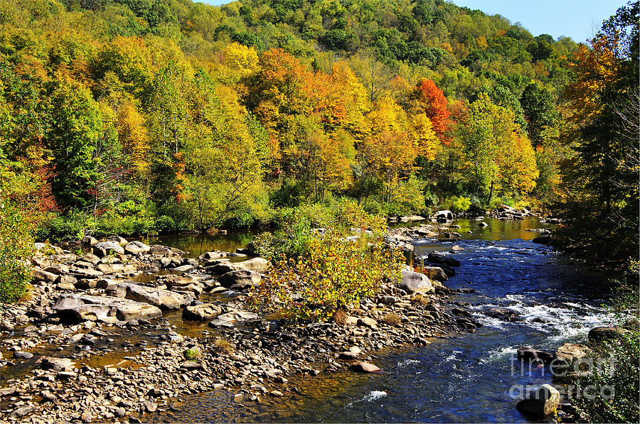 Autumn on the Cherry River Photograph by Thomas R Fletcher