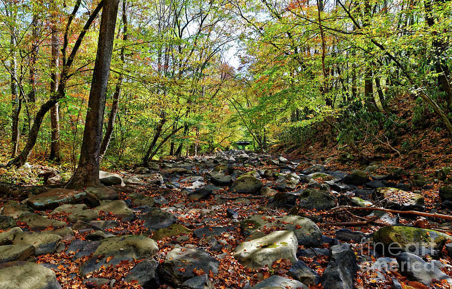 Autumn On The Clifty Creek Photograph by Paul Mashburn
