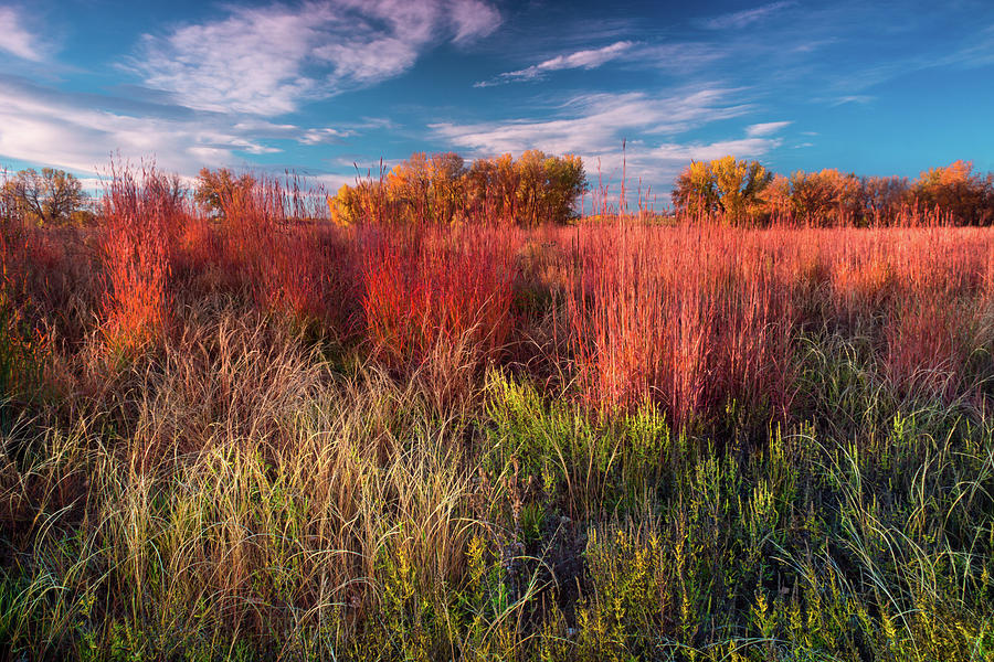 Autumn On The Colorado Plains  Photograph by John De Bord