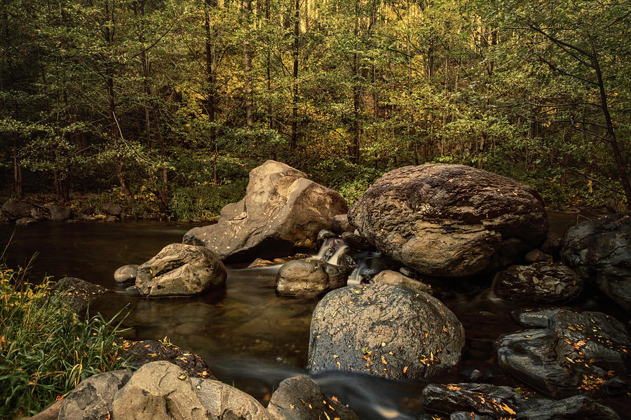 Autumn On The Creek  Photograph by Saija Lehtonen