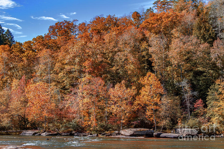 Autumn on the Cumberland  Foliage Photograph by Ken Frischkorn