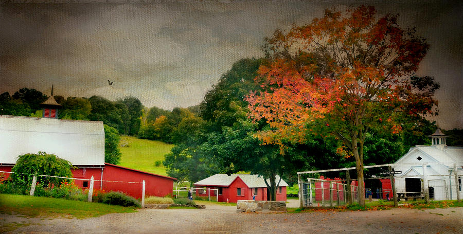 Autumn on the Farm Photograph by Diana Angstadt