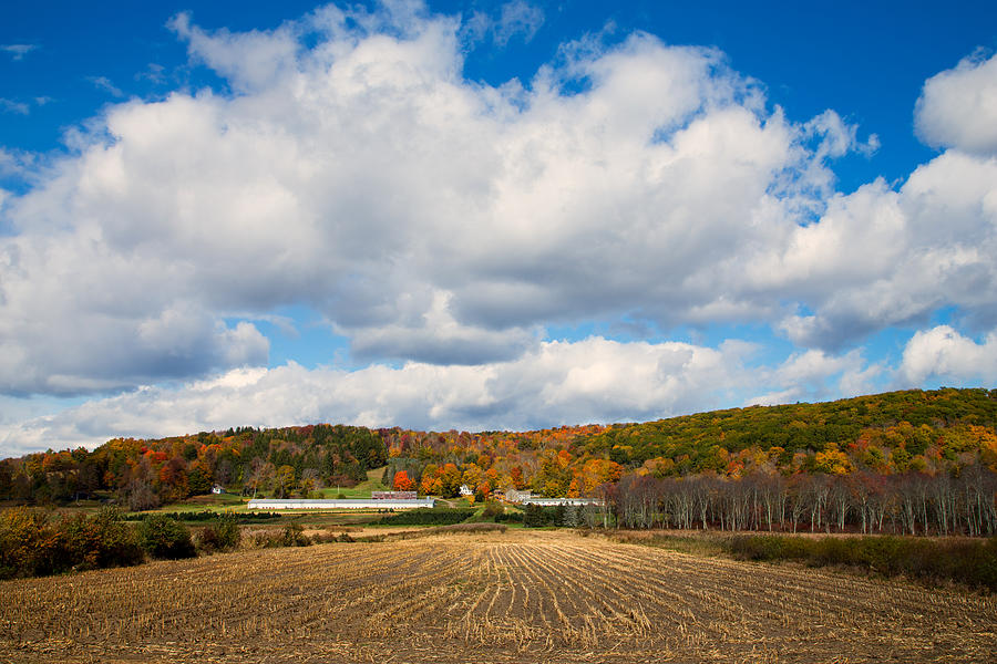 Autumn On The Farm Photograph by Karol Livote