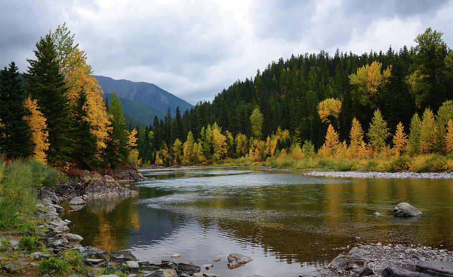 Autumn on the Flathead River Photograph by Whispering Peaks Photography